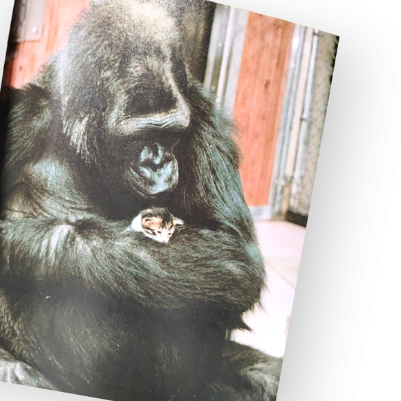 Unlikely Friendships - 47 Remarkable Friendships from the Animal Kingdom Book - Picture 4 of 7